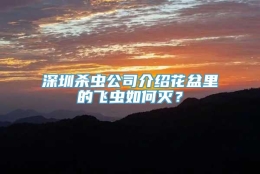 深圳杀虫公司介绍花盆里的飞虫如何灭？