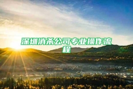 深圳消杀公司专业操作流程