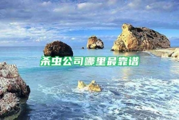 杀虫公司哪里最靠谱