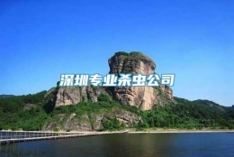 深圳专业杀虫公司