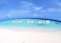 小白蚁“啃伤”幼儿园