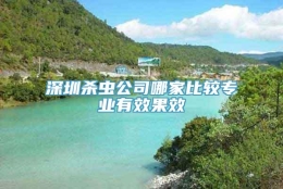 深圳杀虫公司哪家比较专业有效果效