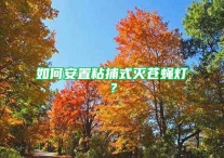 如何安置粘捕式灭苍蝇灯？
