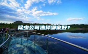 除虫公司选择哪家好？