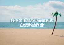 教您美化维护中如何做好白蚁防治作业