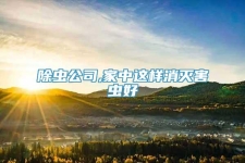 除虫公司,家中这样消灭害虫好