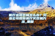 餐厅出现苍蝇怎么办？灭虫公司教你餐厅灭苍蝇方法_重复