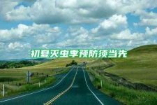 初夏灭虫季预防须当先