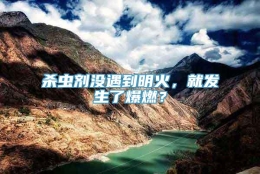 杀虫剂没遇到明火，就发生了爆燃？