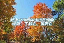 除虫公司带你走进苍蝇的世界，了解它，消灭它