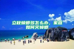 立秋蟑螂多怎么办，家庭如何灭蟑螂