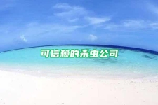 可信赖的杀虫公司