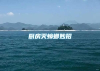 厨房灭蟑螂妙招