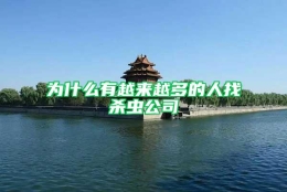 为什么有越来越多的人找杀虫公司