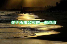 关于杀虫公司的一些咨询