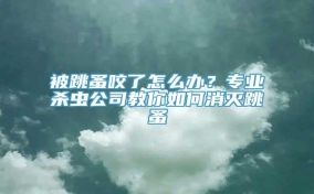 被跳蚤咬了怎么办？专业杀虫公司教你如何消灭跳蚤