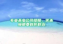 专业杀虫公司提醒，灭杀蟑螂要群防群治