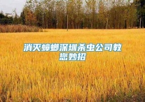 消灭蟑螂深圳杀虫公司教您妙招