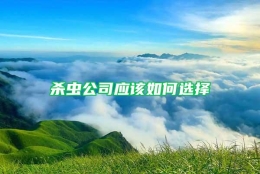 杀虫公司应该如何选择