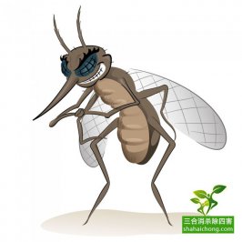 又到蚊子繁殖季 防蚊灭蚊预防登革热很重要