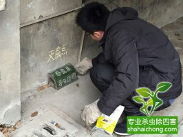 除虫灭鼠的首选杀虫灭鼠公司