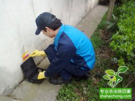 科学灭鼠——灭鼠公司干货对决