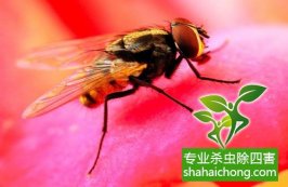 四害生物之防治