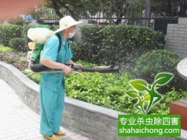深圳白蚁防治公司 《深圳城市房屋白蚁防治管理规定》